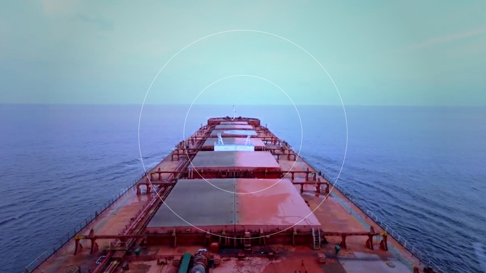 Experienced team at Ozellar Marine